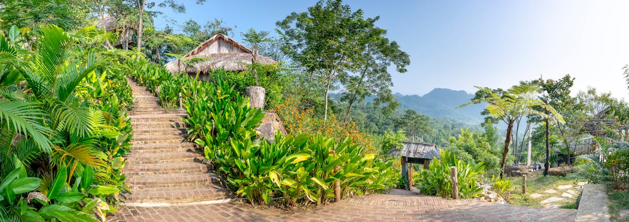 services-03 Picturesque panorama of green patio with palms and exotic plants and with long outdoor stone stairs in tropical resort