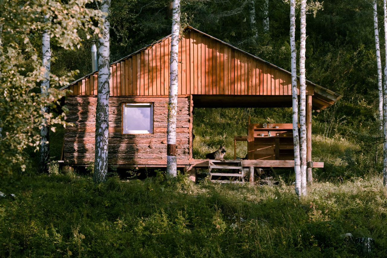 Cozy wooden cabin nestled amidst lush trees, perfect for serene nature retreats.