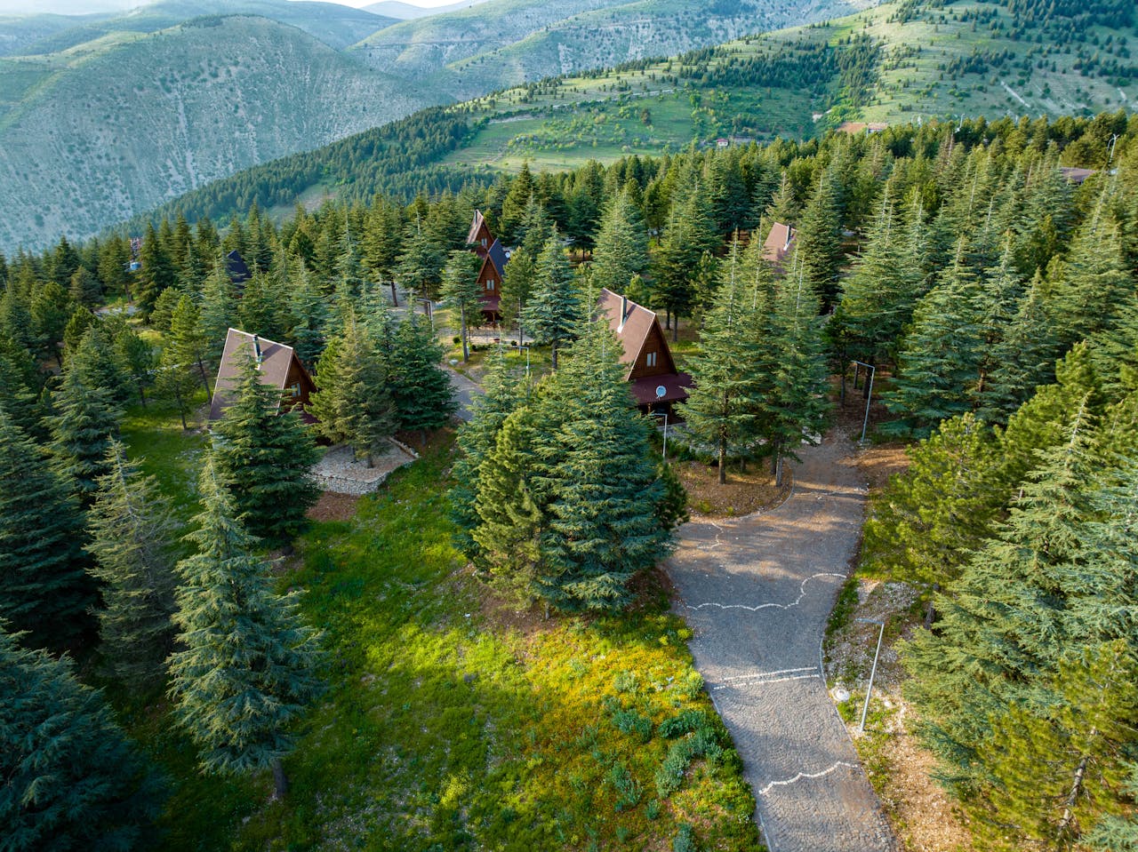 hero-img Aerial view of a serene pine forest with rustic cottages nestled among the trees, under clear skies.